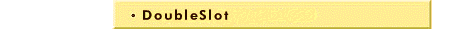 S-PS.DD.DSLOT.GIF (2791 bytes)